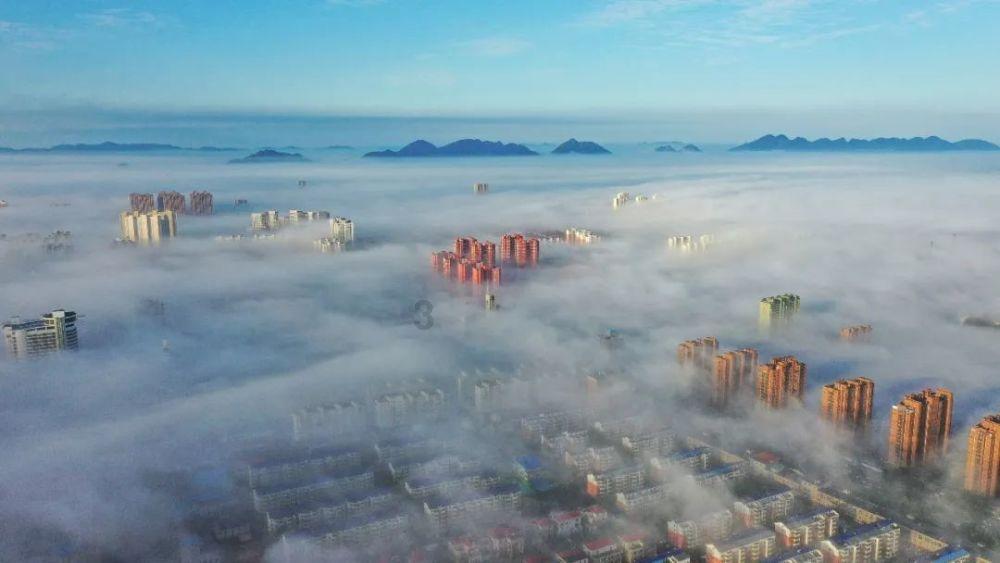 动物帮帮忙保卫家园