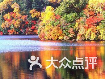 芭比公主四元素装