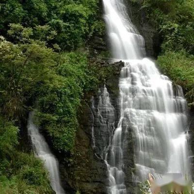 观察者