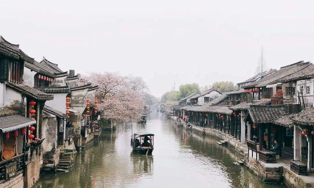 搜漫app下载安装-智能问答网,机智解答、精彩互动